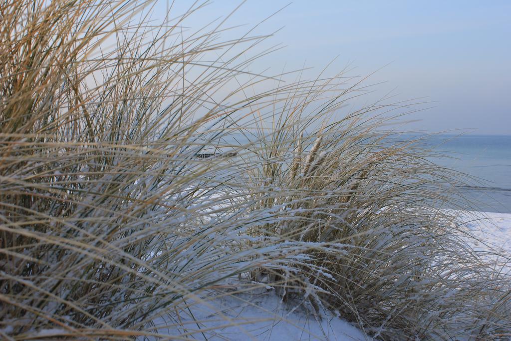 Appartmentanlage Zur Duene Insel Poel Quarto foto